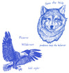 Wolf and Eagle